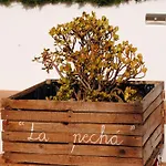 Casa La Pecha, * Ronda
