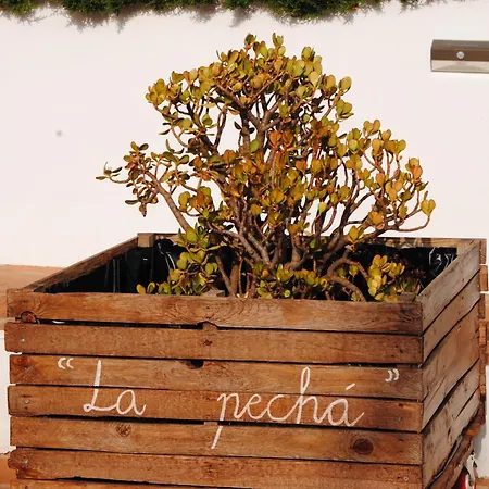 Casa La Pecha, * Ronda