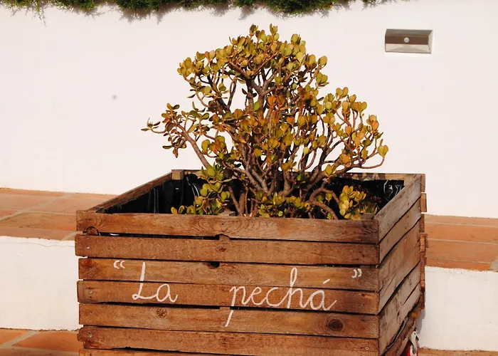 Casa La Pecha, * Ronda